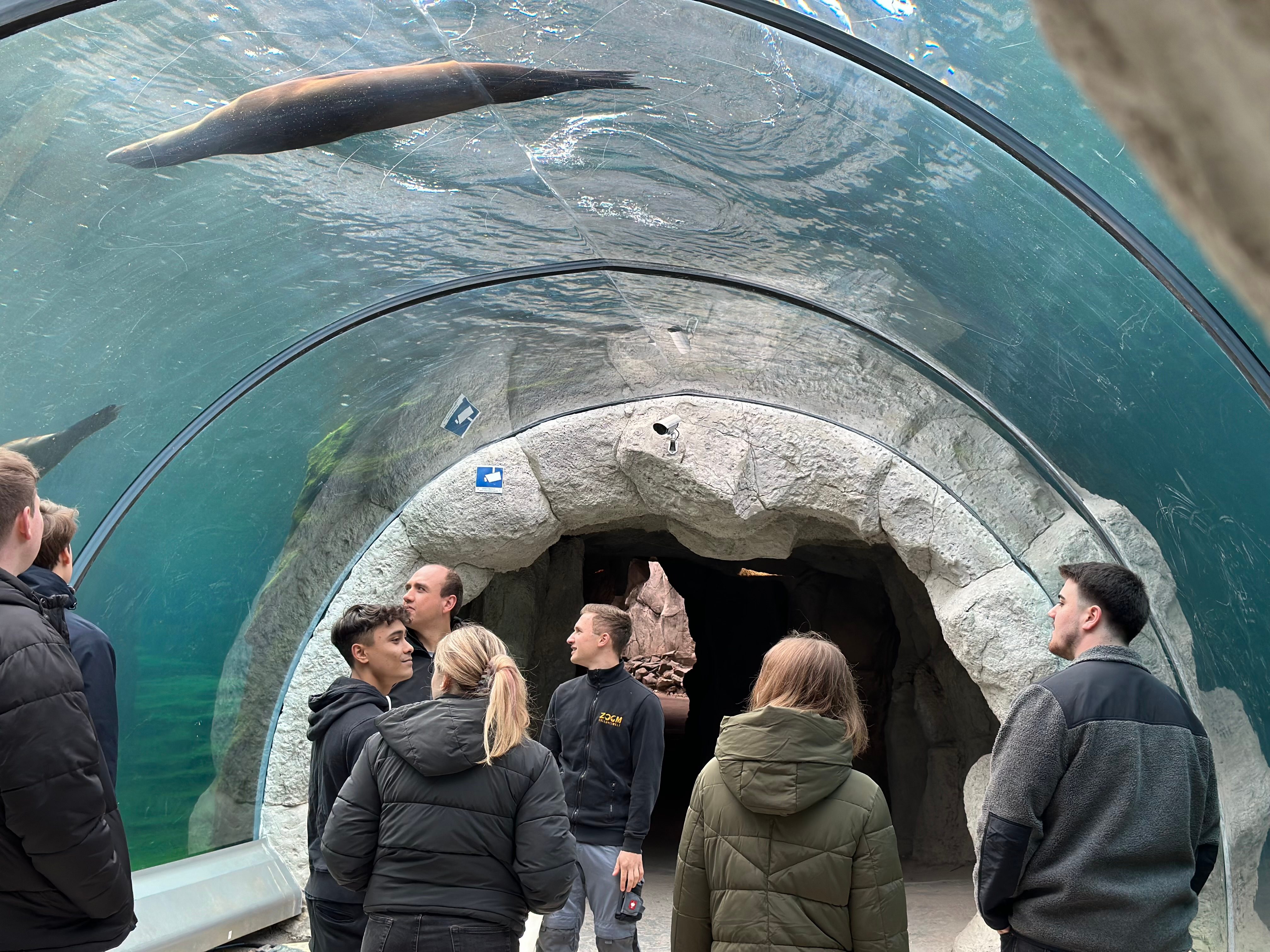 Azubis stehen zusammen im Aquarium