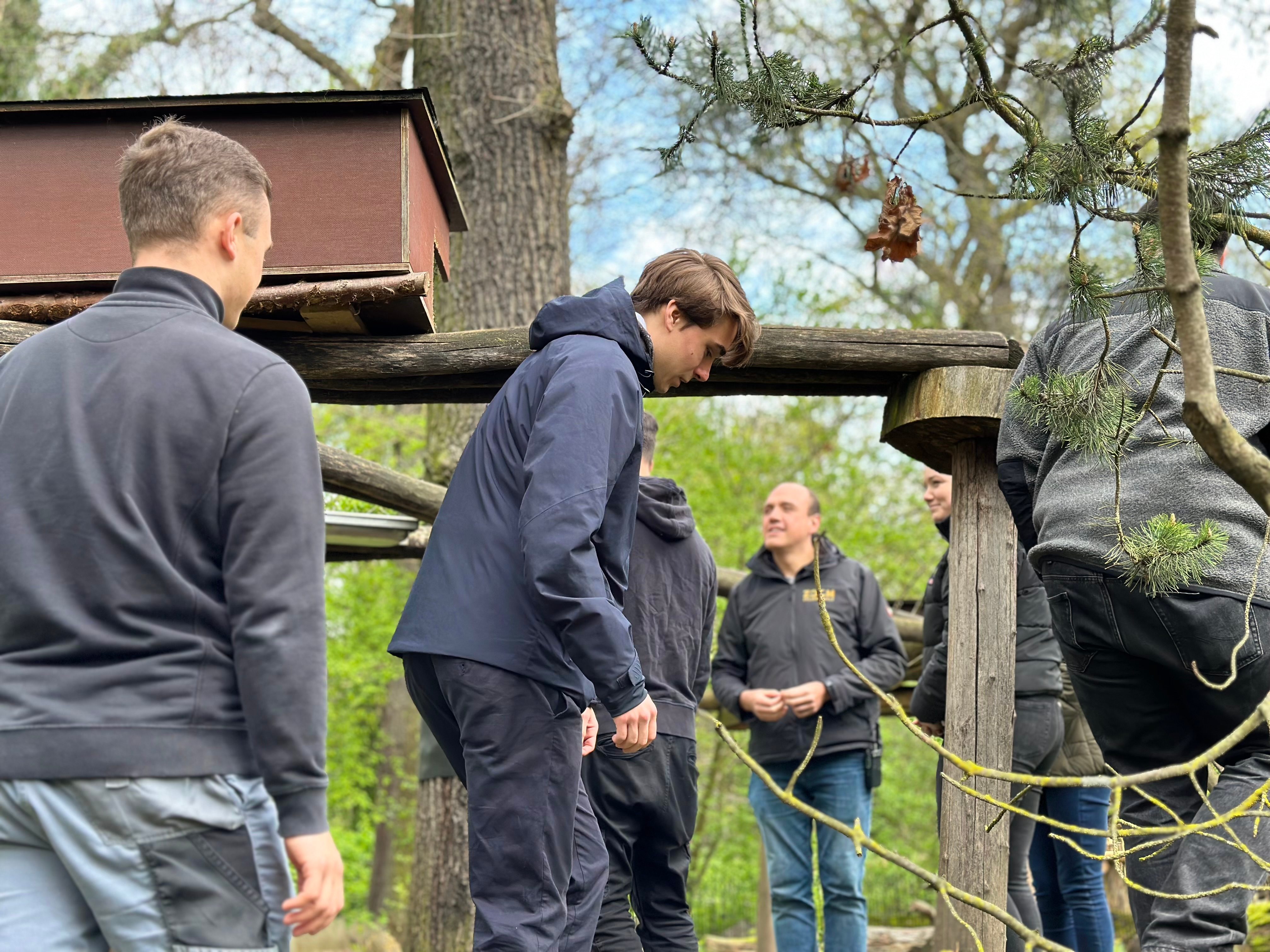 Azubis gehen gemeinsam durch ein Tiergehege