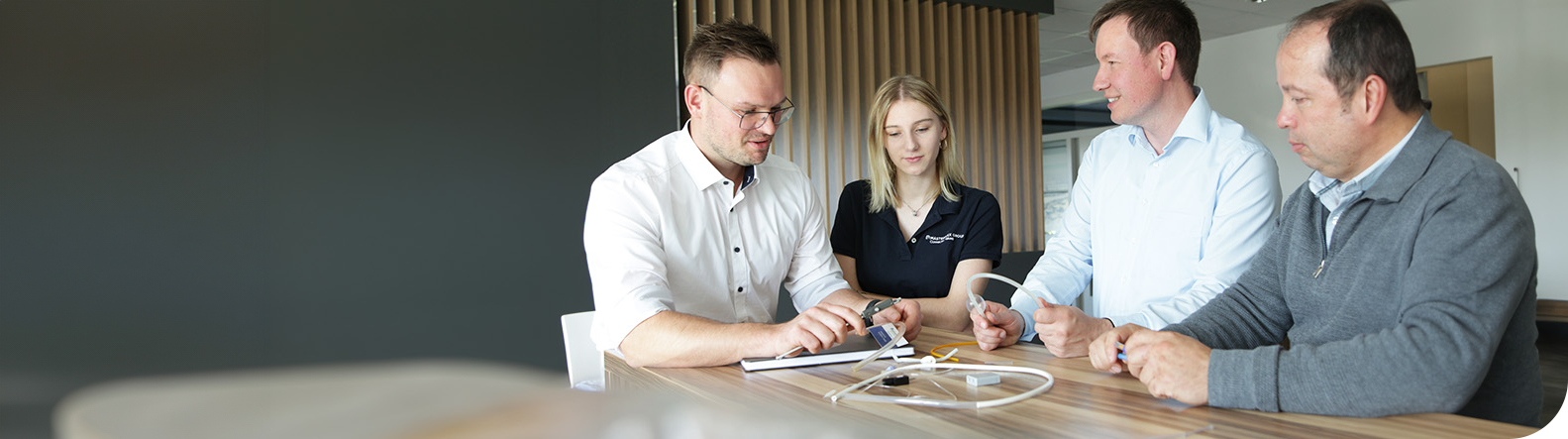 Example image: Employees sitting together at a table in a meeting