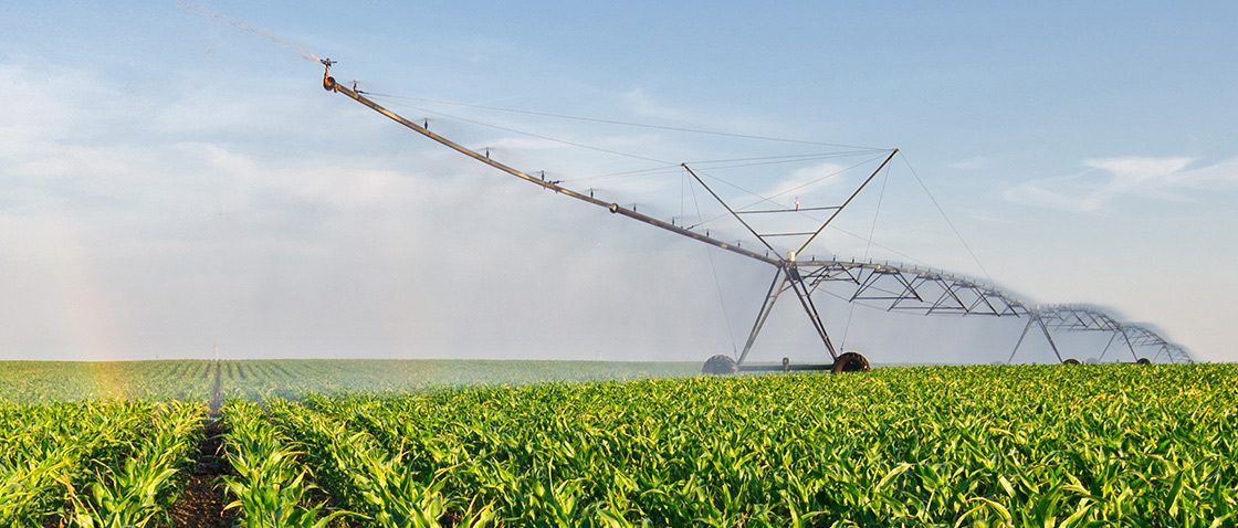 Example of the agricultural industry sector in which the Masterflex Group is active.