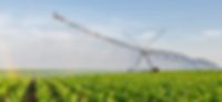 Beispielbild für die Branche der Agrarindustrie Beispielbild für die Branche der Agrarindustrie