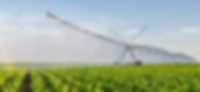 Beispielbild für die Branche der Agrarindustrie Beispielbild für die Branche der Agrarindustrie