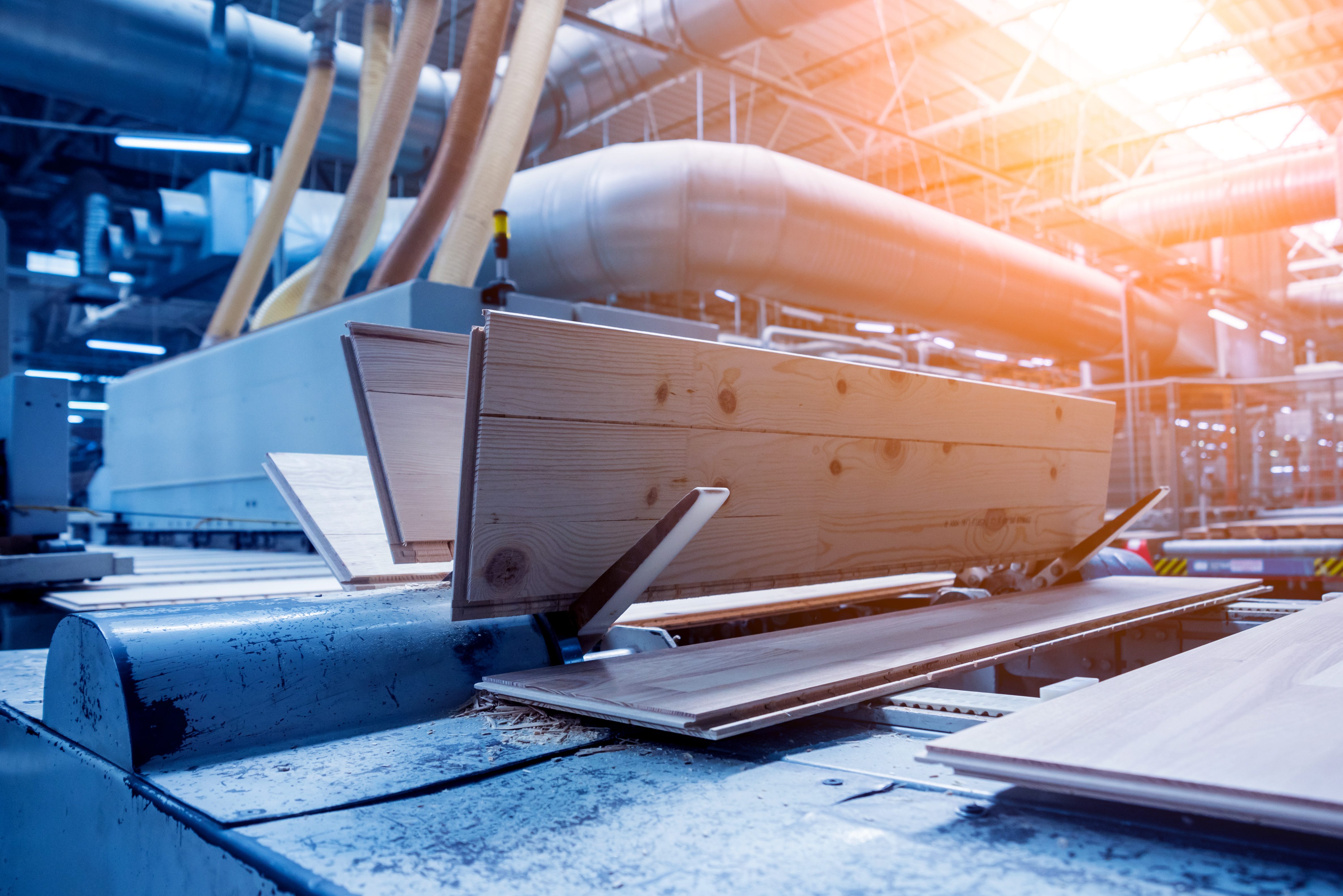 Mood: Hoses in wood processing