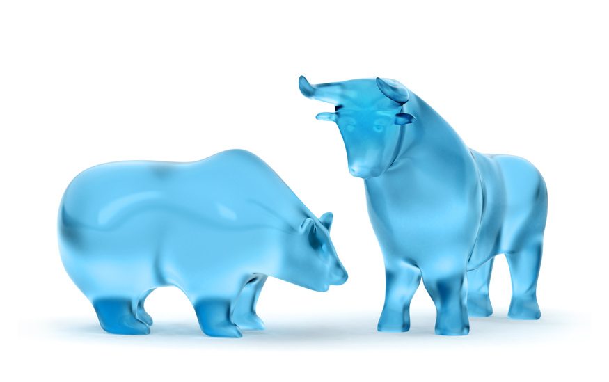 Mood picture of the Masterflex share: bull and bear