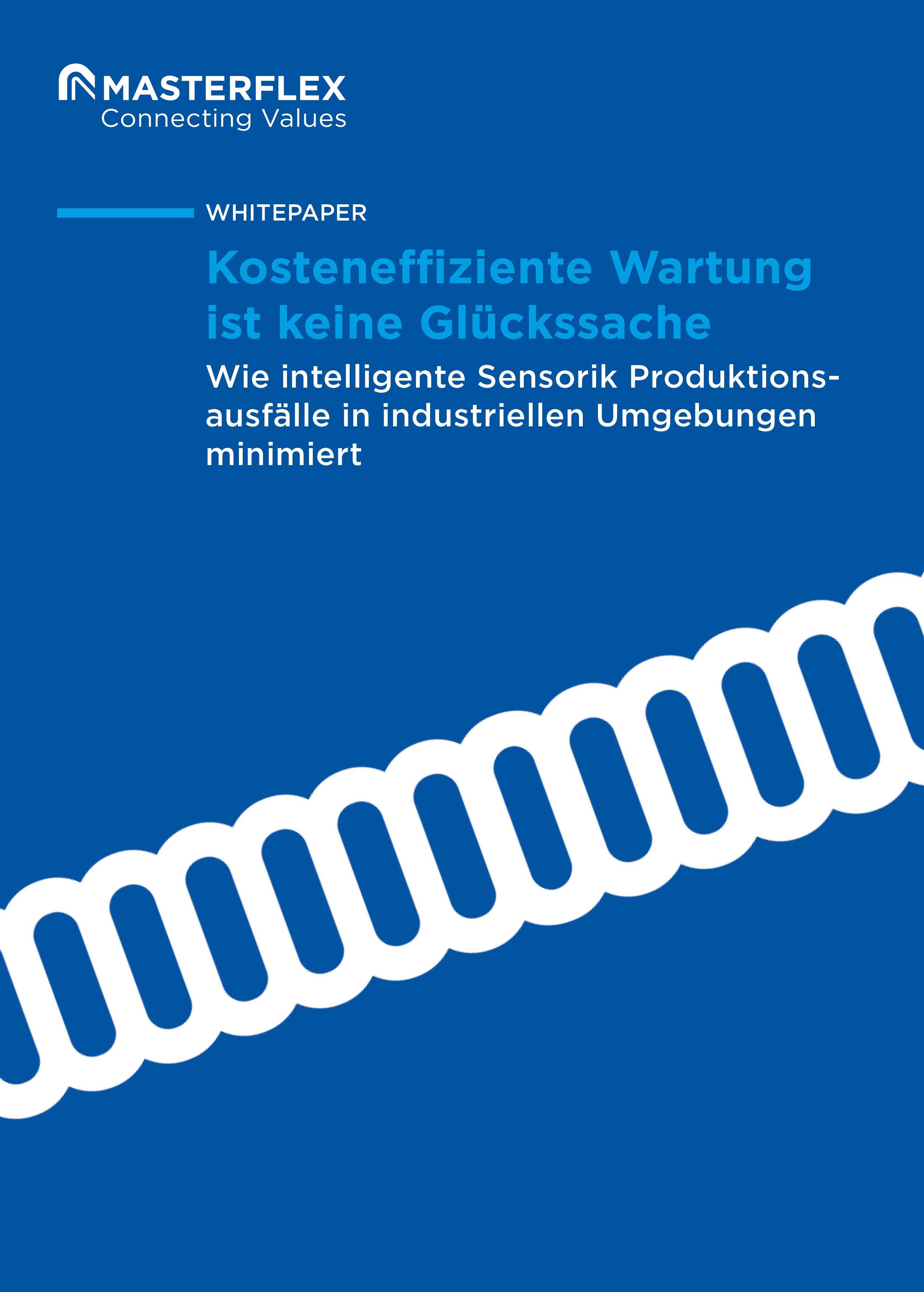 Titelbild des Whitepapers zur kosteneffizienten Wartung der Masterflex Group