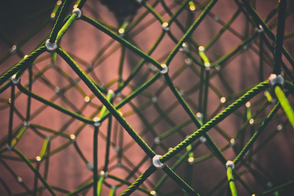 Abstract green net, somewhat blurred in the background.