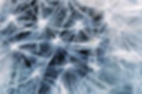 Masterflex Group: Unsere Verantwortung Ökologie  Stimmungsbild: Unsere Verantwortung Ökologie