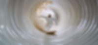 Smooth-walled hose