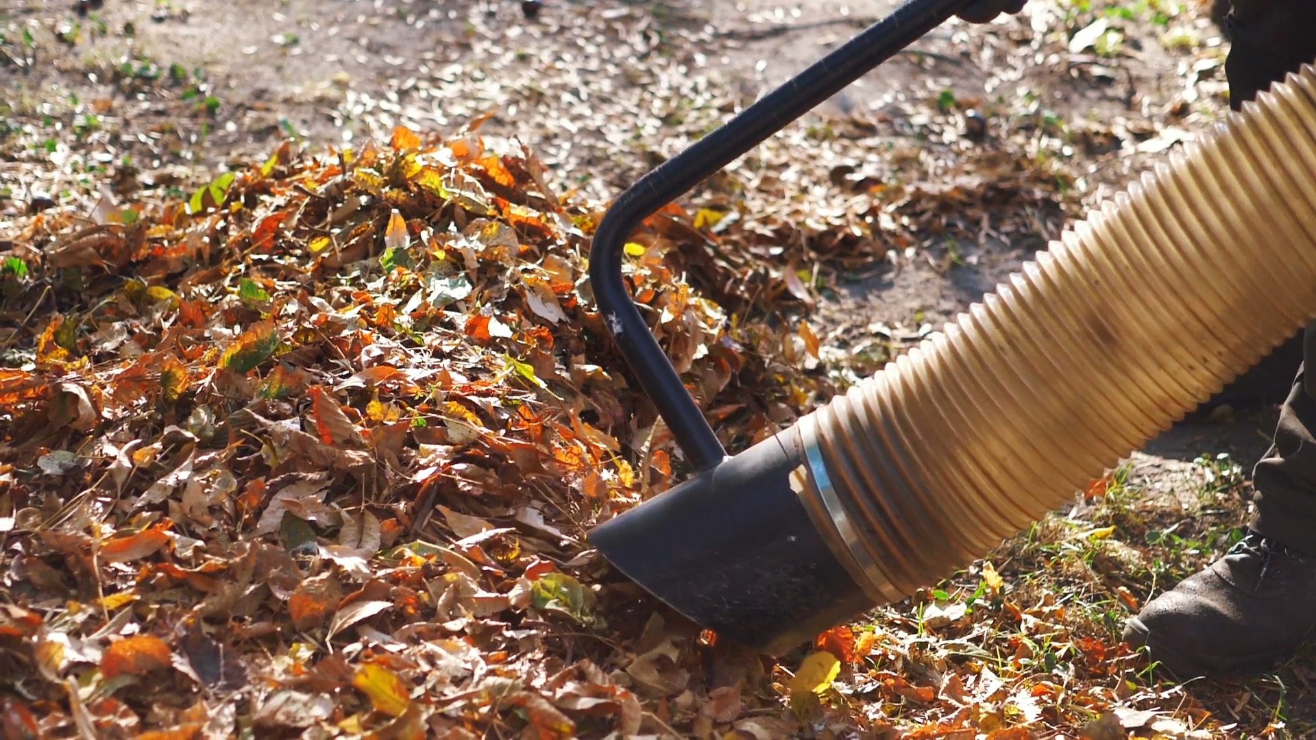 Imagen de aplicación: Primer plano de la manguera en espiral Masterflex en un aspirador de hojas