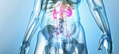 Mood Bild: Menschlicher Körper 